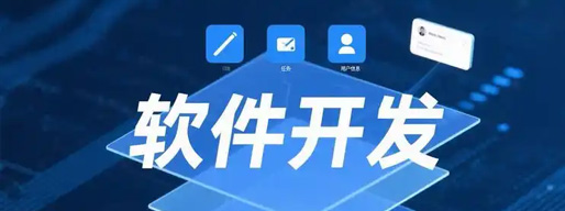 定制软件开发