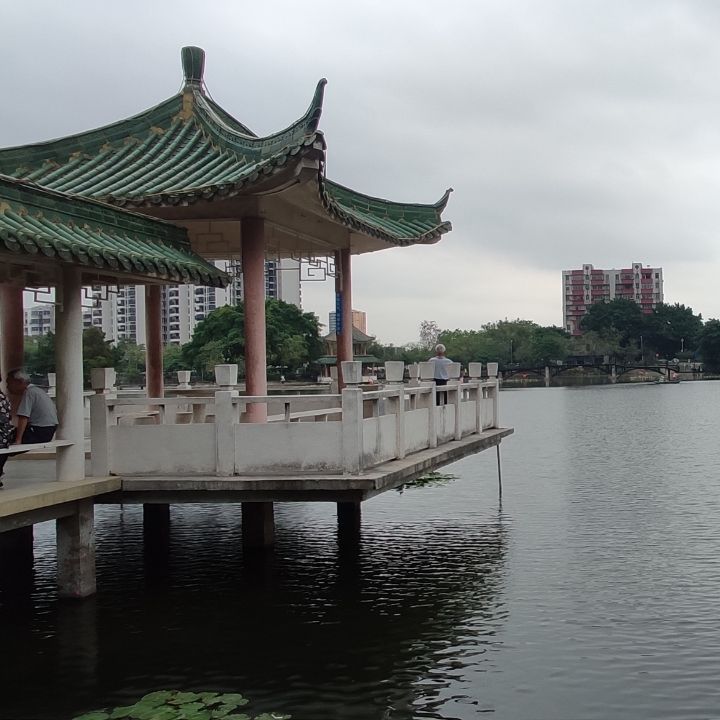 鱼胶原蛋白肽粉小分子肽燕窝烟酰胺贴牌代工胶原蛋白肽固体饮料