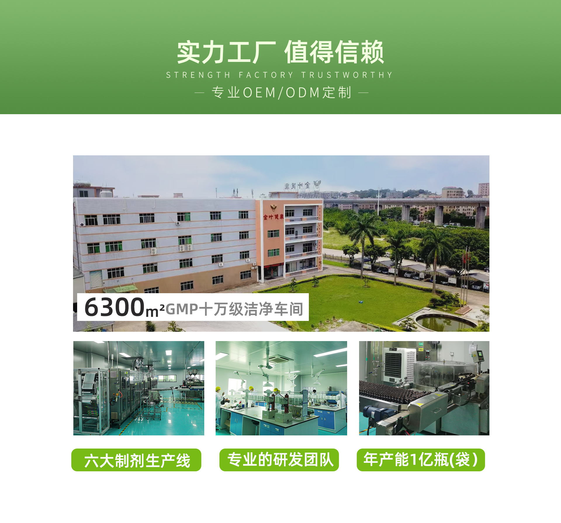 贴牌定制益生菌果蔬酵素饮品畅享自由PP瓶综合蔬果OEM/ODM代加工