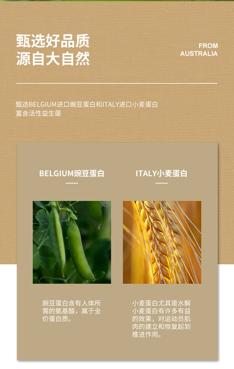 膳食营养早餐补充冲调饮品健康双豆蛋白质粉益生菌蛋白粉高蛋白