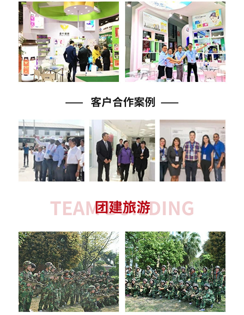 膳食营养早餐补充冲调饮品健康双豆蛋白质粉益生菌蛋白粉高蛋白