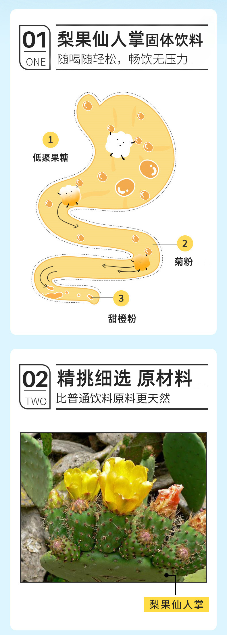 贴牌定制膳食纤维发酵梨果仙人掌固体冲调饮品OEM/ODM代加工酵素