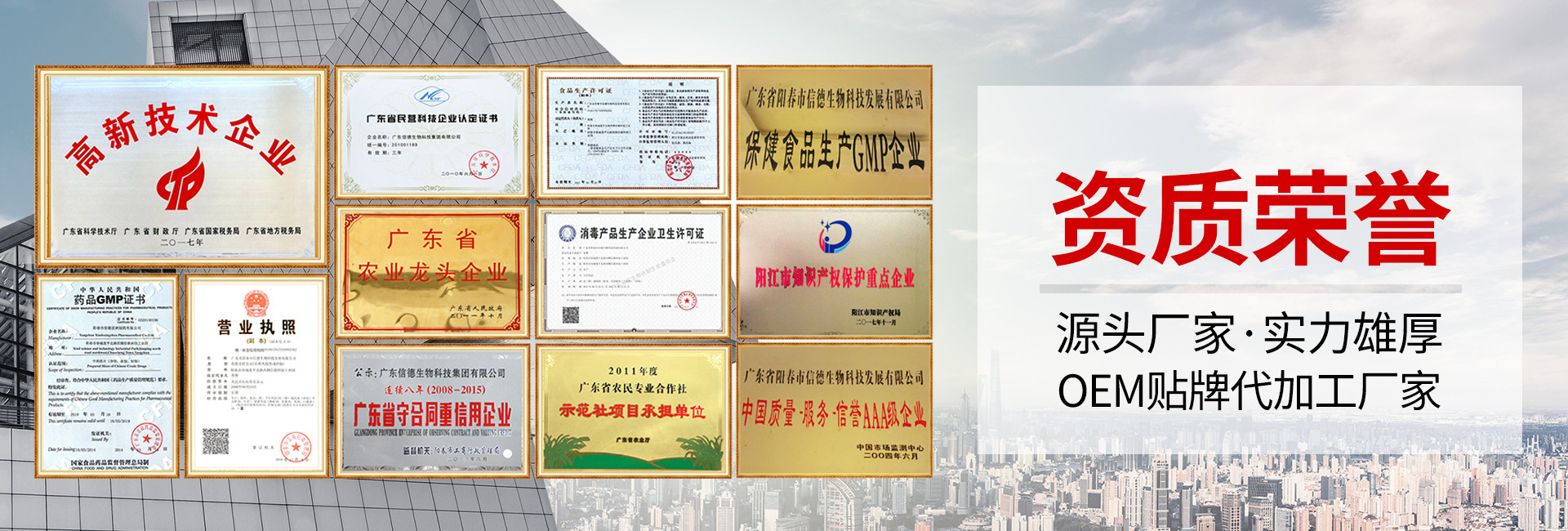 减肥片 减肥食品 减肥胶囊 白芸豆片左旋肉碱糖片 保健食品减脂
