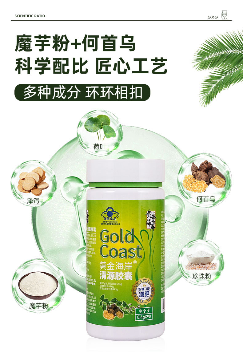 减肥胶囊 保健食品白芸豆片左旋肉碱减肥胶囊减肥保健品源头批发