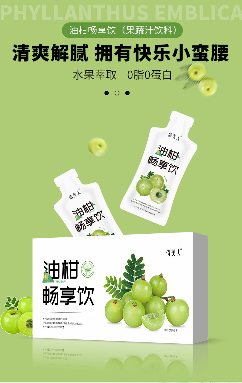 加强版益生元酵素 大餐救星果蔬油柑饮益生菌复合果蔬酵素口服液
