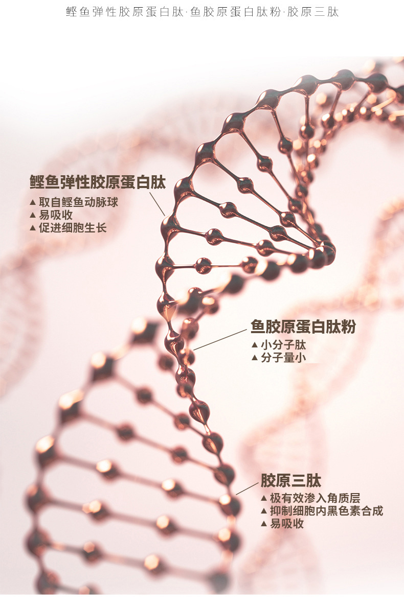 燕窝鲣鱼小分子胶原蛋白三肽饮品 雪莲西番莲山竹浓缩汁饮料OEM