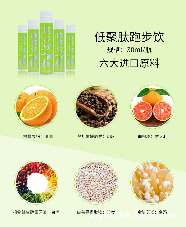 鱼胶原蛋白肽低聚肽跑步饮植物饮品 生姜绿咖啡植物酵素果饮料OEM