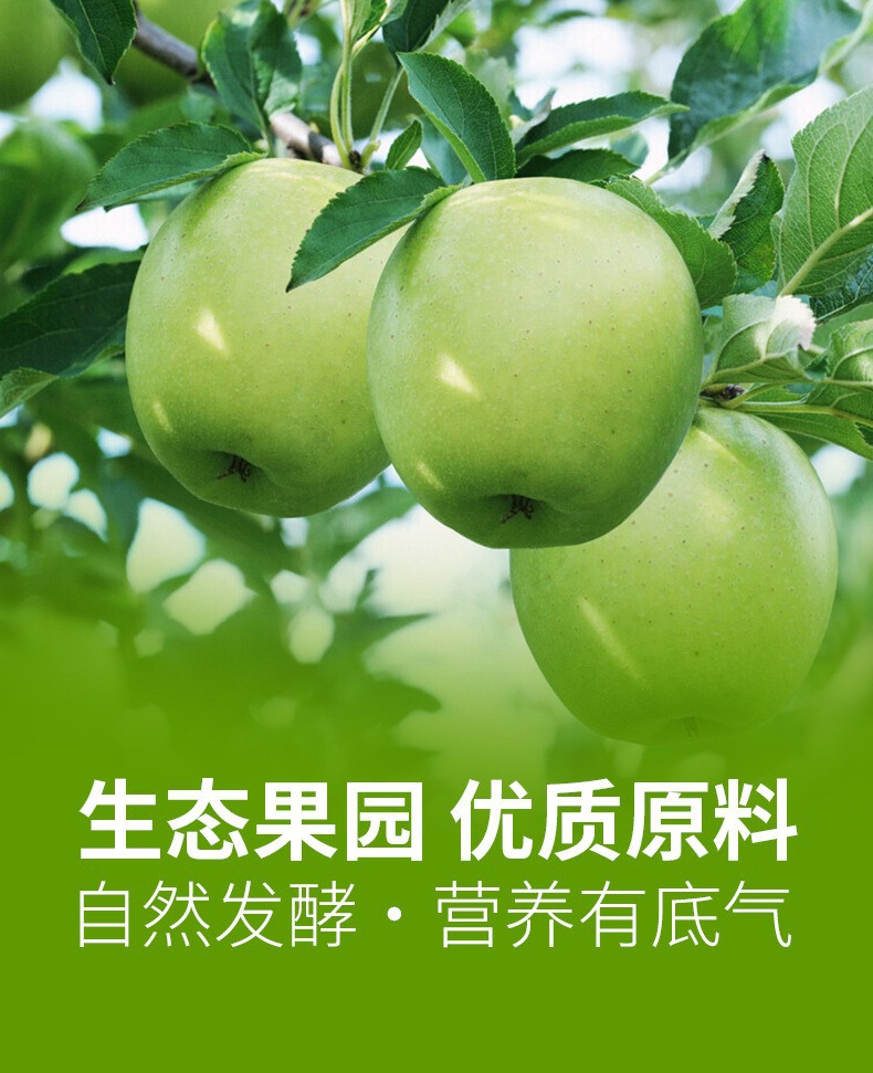 厂家定制益生元苹果醋0糖0脂条装便携式饮料 植物饮料口服液饮品