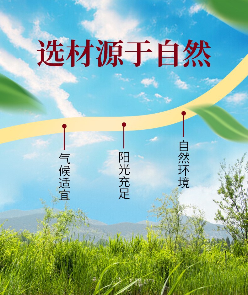 工厂定制四物汤固体饮料 秋冬季滋补八珍汤颗粒剂饮品贴牌代加工