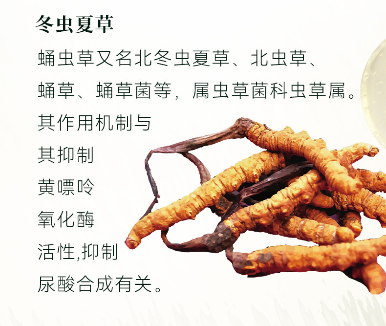 药食同源植物中草药芹菜籽酸清饮品固体饮料OEM贴牌代加工植物基