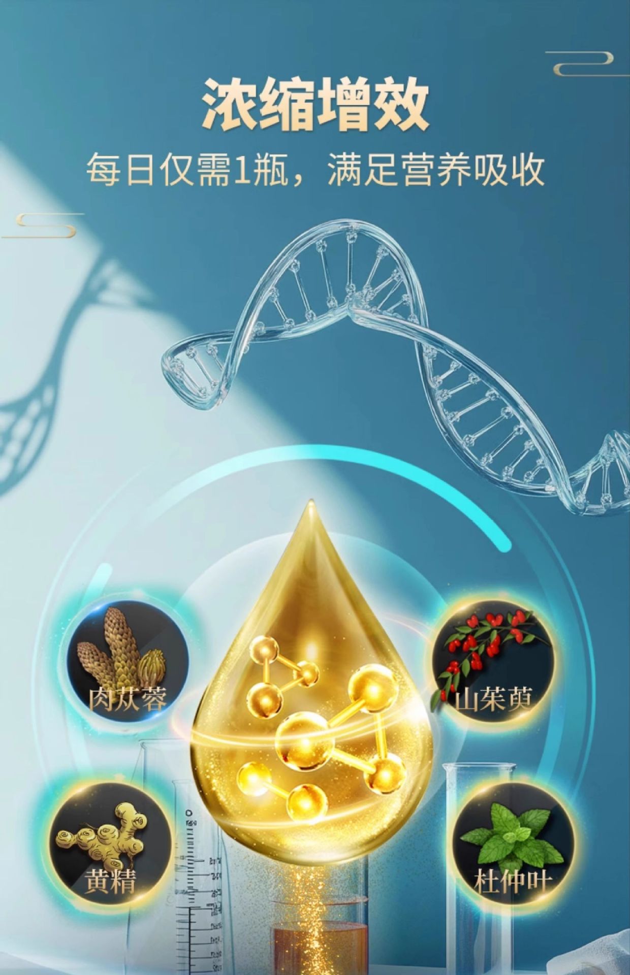 肉苁蓉黄精发酵原浆口服液代加工 滋补药食同源肉苁蓉植物饮品oem