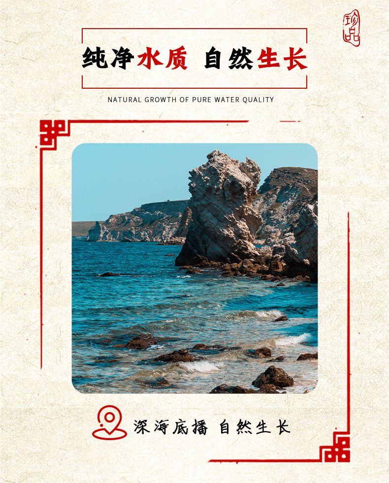 海参原浆饮品浓缩液海参原浆口服液海参便携 原浆饮品