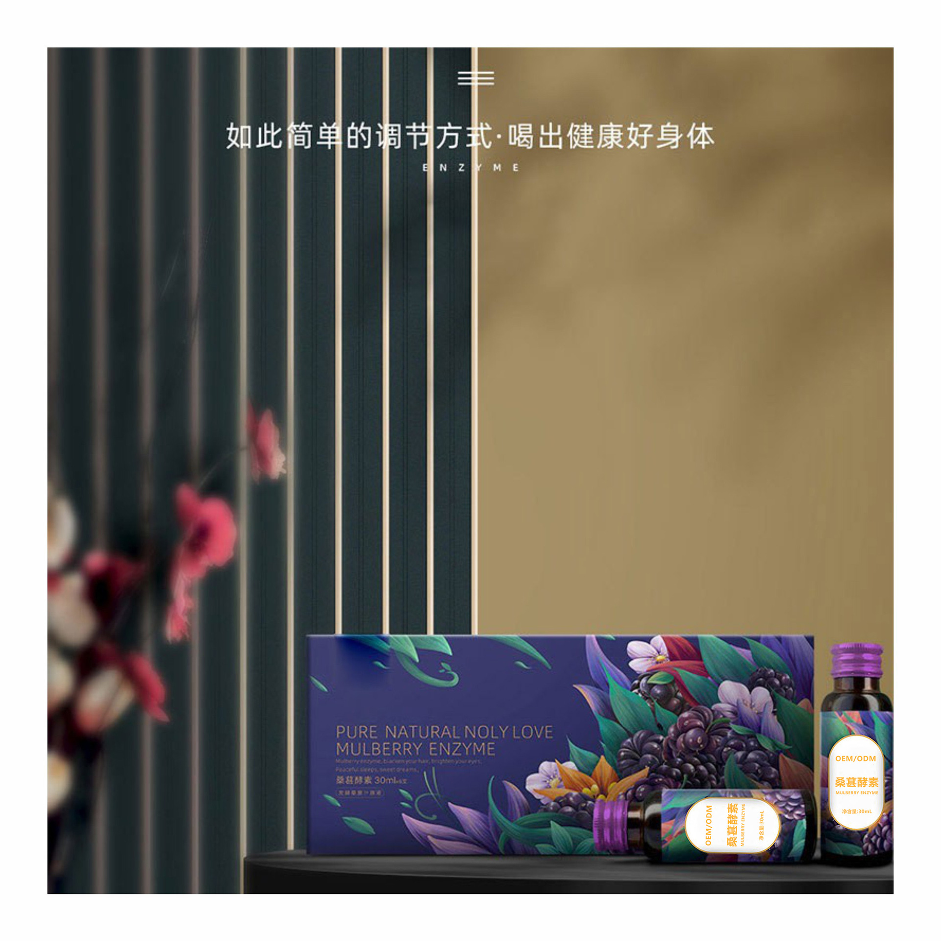 桑葚酵素口服液 定制专利肠道益生菌益生元果蔬饮品代加工贴牌