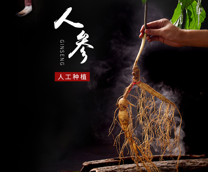 人参牡蛎肽压片糖果代加工药食同源片剂 男性健康滋补压片糖果OEM