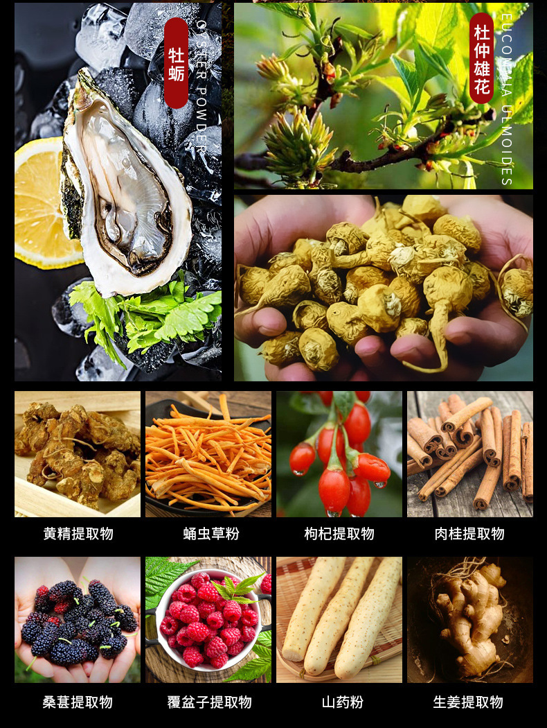 人参牡蛎肽压片糖果代加工药食同源片剂 男性健康滋补压片糖果OEM