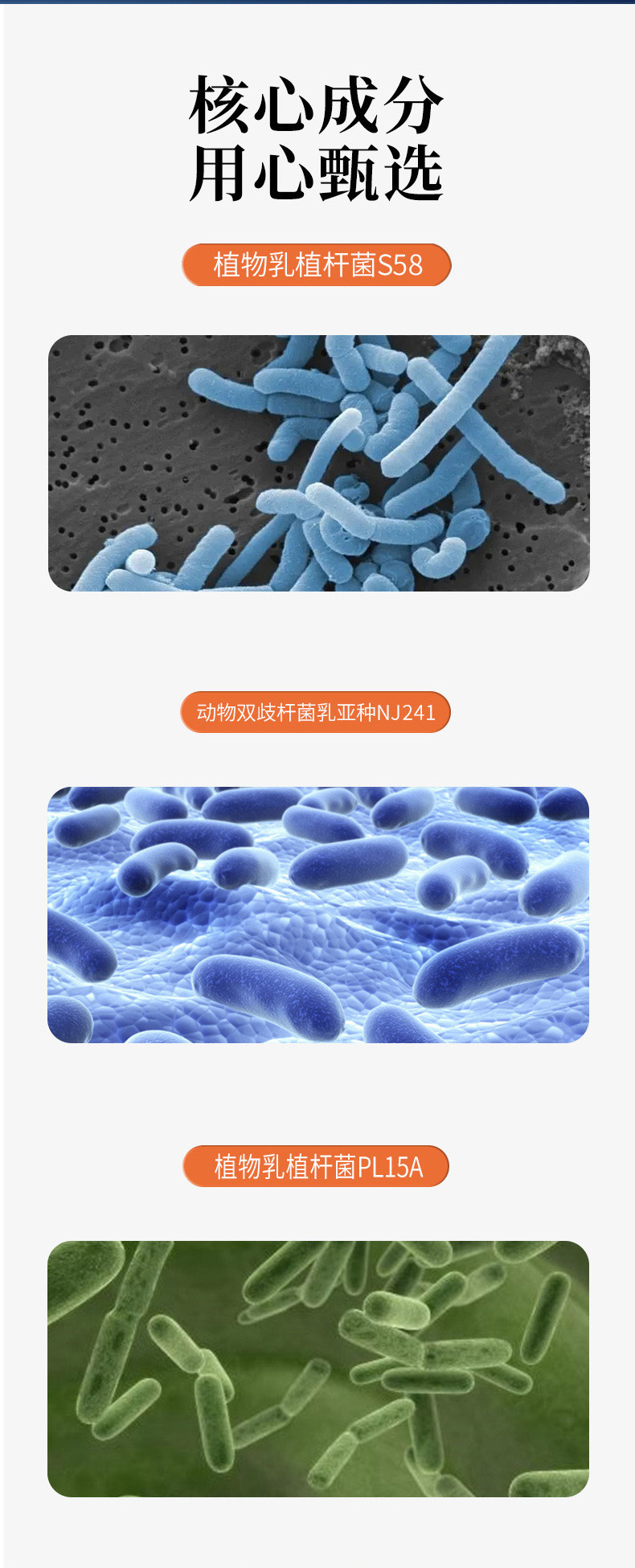 益生菌复合酵素粉 肠道专利益生元源头工厂代加工固体饮料OEM贴牌
