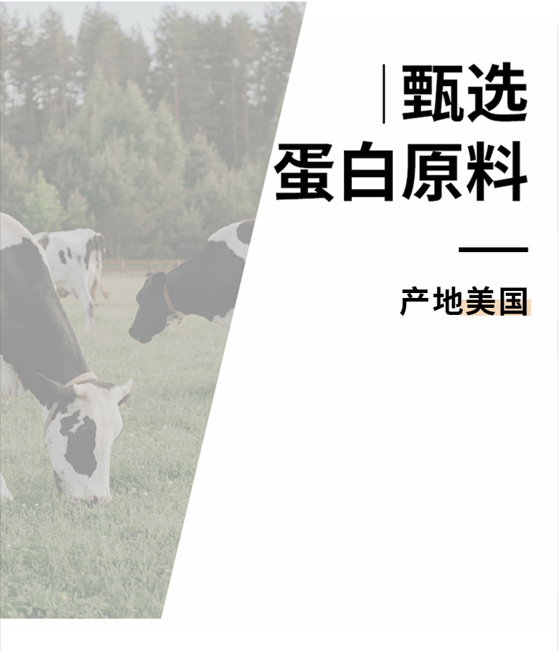 乳清蛋白粉批发健肌运动健身可用营养强化豆奶粉代发现货蛋白食品