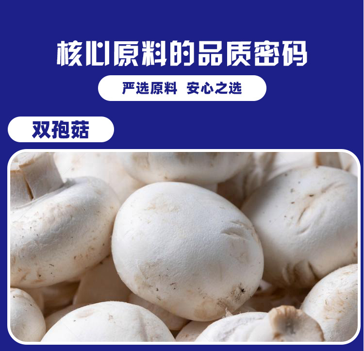 双孢菇接骨木莓压片糖果0.6g/片x60片代加工定制食品批发