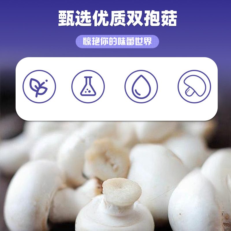 双孢菇接骨木莓压片糖果0.6g/片x60片代加工定制食品批发