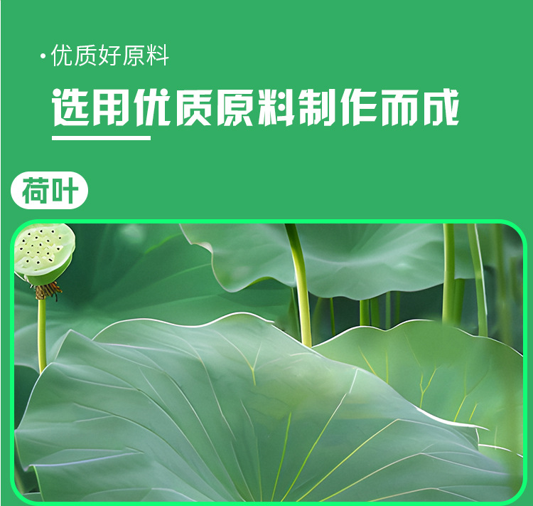 荷叶决明子压片糖果 0.6g/片x60片代加工定制食品批发