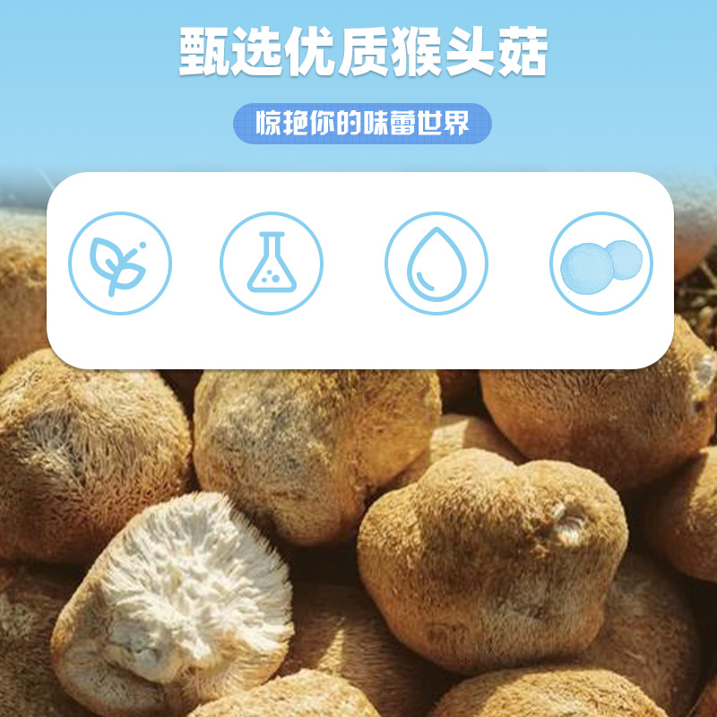 余甘子益生菌压片糖果0.6g/片x60片代加工定制食品批发