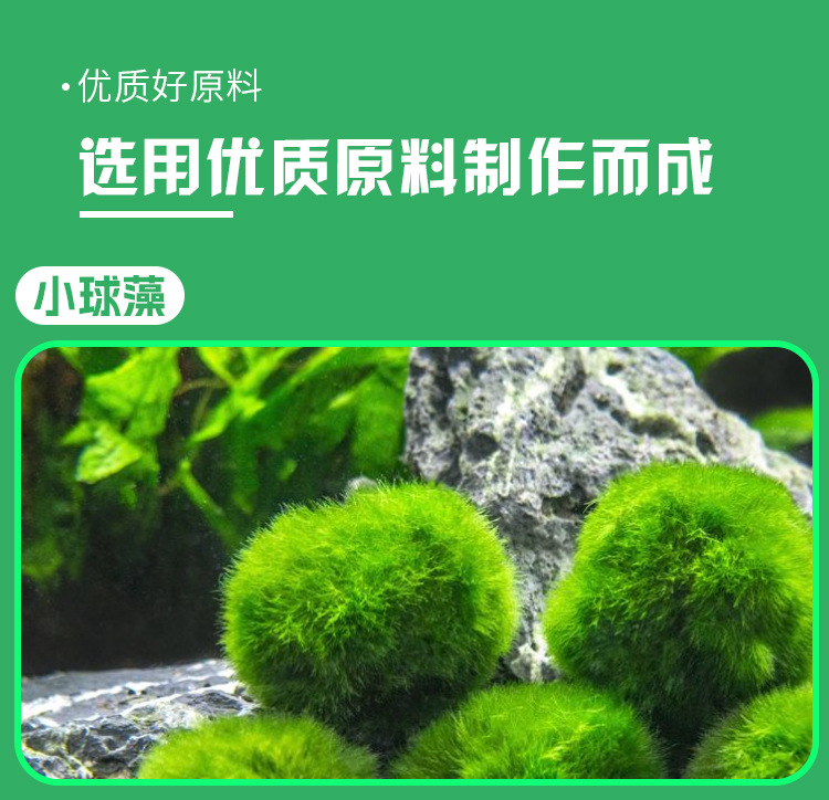 小球藻果蔬压片糖果0.6g/片x60片代加工定制食品批发
