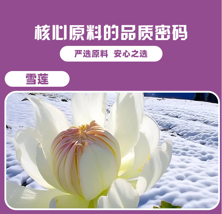 胶原蛋白雪莲植物压片糖果0.6g/片x60片代加工定制食品批发