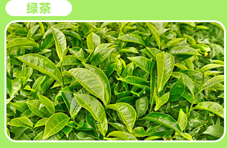 菊苣樱桃益生元压片糖果 0.8g/片x60片代加工定制食品批发
