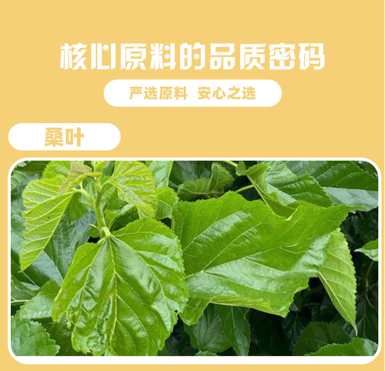 姜黄米糠脂肪烷醇压片糖果 0.7g/片x60片代加工定制食品批发