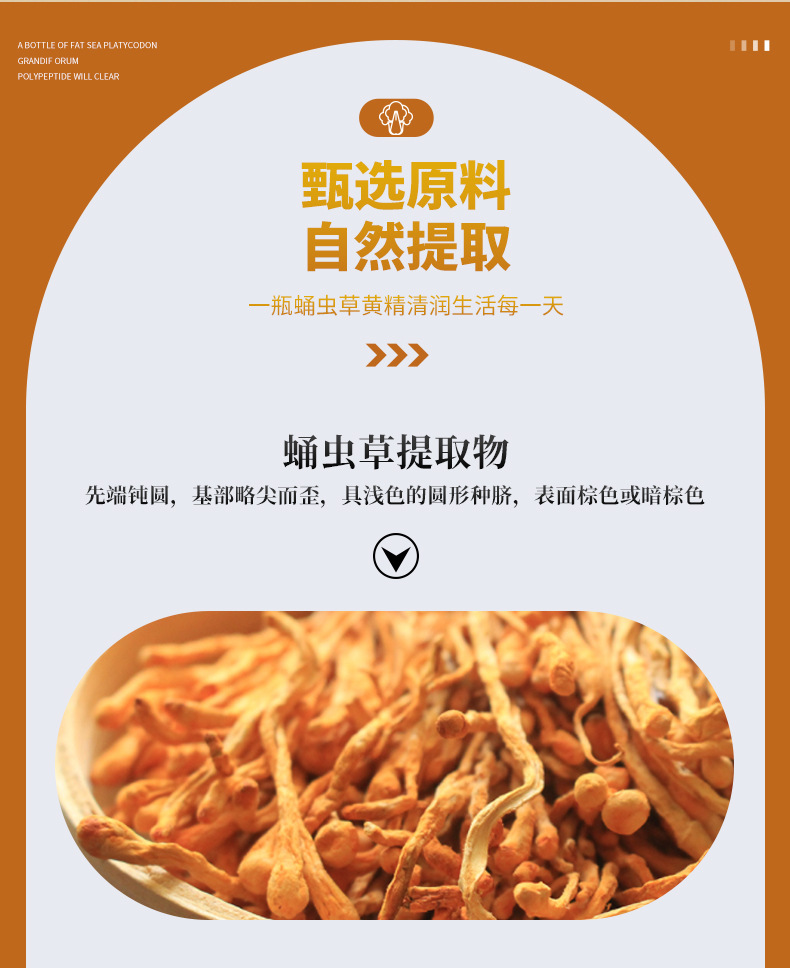 厂家ODM贴牌定制蛹虫草黄精压片糖果营养食品OEM咀嚼片剂代加工
