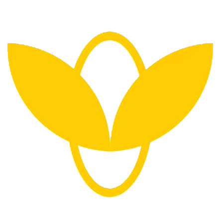 广州金叶健康科技有限公司